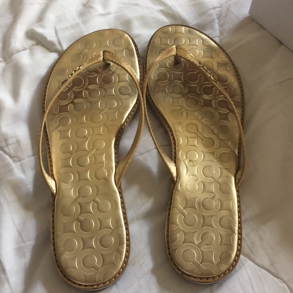 Coach Devlynn Metallic Gold Sandal - Picture 2 of 8